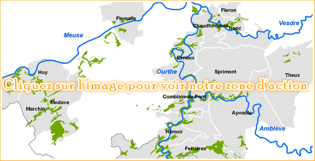 CLIQUEZ SUR LA CARTE POUR VOIR NOTRE ZONE D'ACTION