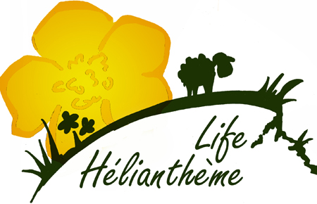 logo du LIFE Hélianthème