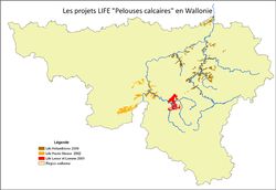 Carte des 3 LIFE "pelouses sèches" en RW, cliquez sur la carte pour l'agrandir