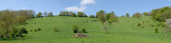 Vue panoramique sur la première acquisition du LIFE Hélianthème : le site "Derrière les Massottes" - photo de JL Gathoye