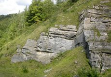rocher calcaire à Modave