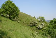 Thier de Lanaye à la montagne Saint-Pierre