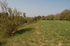 plateau calcaire dans la réserve domaniale du Thier de la Croix