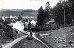 pâturage itinérant à Kanne (vallée du Geer) - CLIQUEZ POUR AGRANDIR