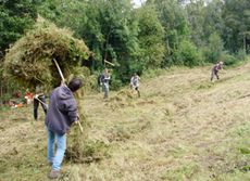 Chantier bénévole