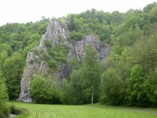 Rocher calcaire à Modave