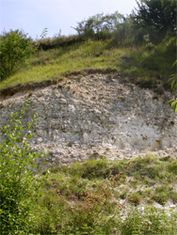 pelouse sur de la craie affleurante à la Montagne St-Pierre